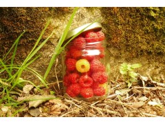 Confiture extra de Framboise